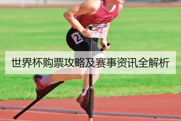 世界杯购票攻略及赛事资讯全解析