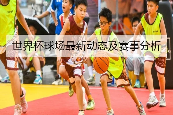 世界杯球场最新动态及赛事分析