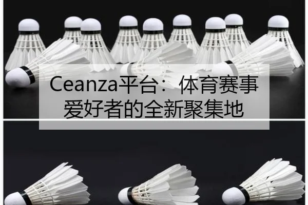 Ceanza平台：体育赛事爱好者的全新聚集地